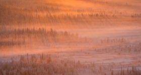 The International Landscape Photographer of the Year ||| I migliori fotografi di paesaggio del mondo