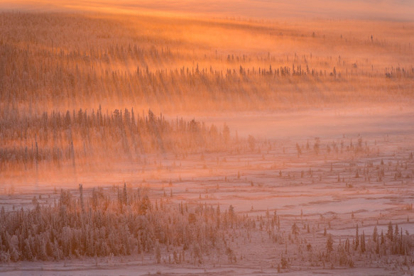 The International Landscape Photographer of the Year ||| I migliori fotografi di paesaggio del mondo