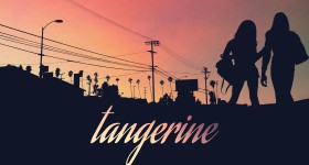 tangerine_transgender
