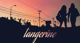tangerine_transgender