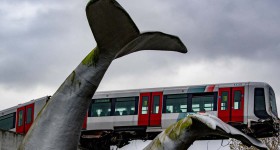 treno-deraglia-balena